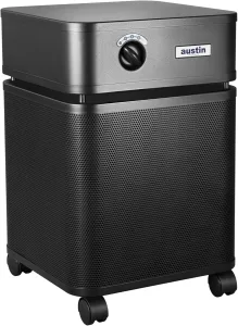 Austin Air HealthMate