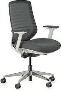 Branch Ergonomic Chair