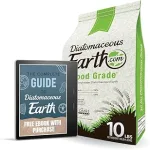 Food-Grade Diatomaceous Earth